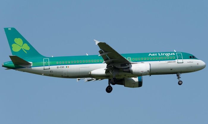 Airbus A320 Wing Slat Aer Lingus EI-CVC Authentic Aircraft Skin Section