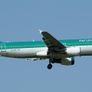 Airbus A320 Wing Slat Aer Lingus EI-CVC Authentic Aircraft Skin Section Image 3