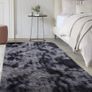 Living Room Rugs Image 4