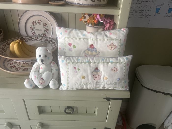 Cushions and Teddy