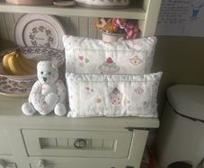 Cushions and Teddy
