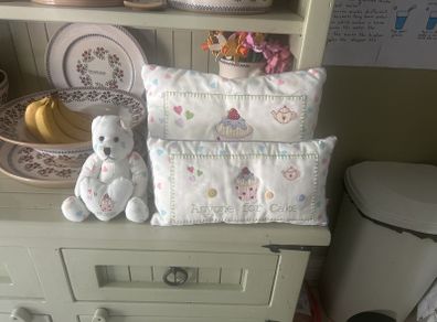Cushions and Teddy
