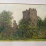Edward Tomkus (1936) Blarney Castle Co Cork Image 2