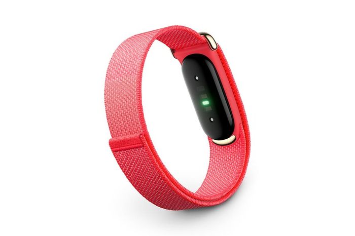 Google Fitbit Air - Screenless Activity Tracker With Fitness, Heart Rate, and Sleep Tracking - Personalized AI-Powered Coaching - Up to 7 Days Battery Life - Works iOS and Android (Berry/Champagne Gold)