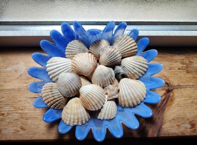 Shell Ornament