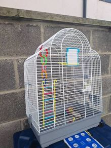 Bird Cage