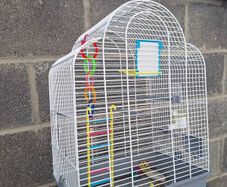 Bird Cage
