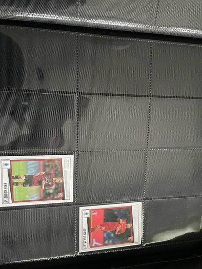 Trading Card Collection (UFC, PFL, Football)