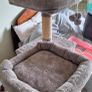 Cat Tree Image 3