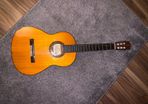Yamaha G231