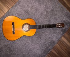 Yamaha G231