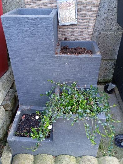 pots x 2 with plants