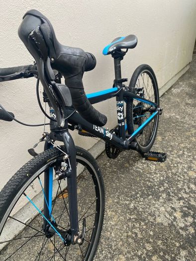 Kids 9spd Team Sky Edition Frog Racing Bike