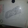 Bugaboo fox seat fabtic New Image 2