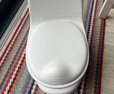Training potty