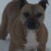 karl.feeney.5