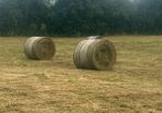 Bales