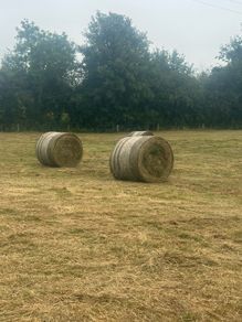 Bales