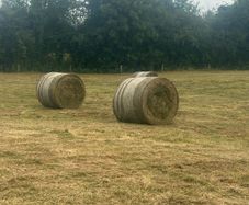 Bales