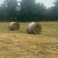 Bales