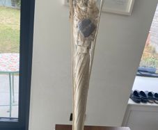 Wedding Umbrella