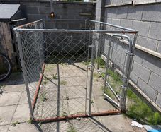 Dog Run
