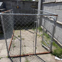 Dog Run