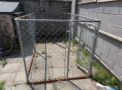 Dog Run