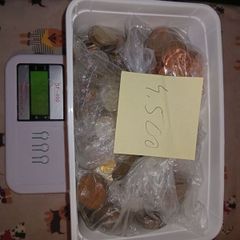 4.500 kg.coins and 9 banknotes