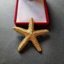 Textured Gold Tone Starfish Brooch - Large Nautical Sea Star Pin - Gold Tone Marine Coastal Jewelry Image 4