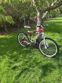 Cube ams 125 pro