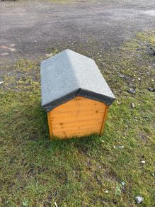 dog box