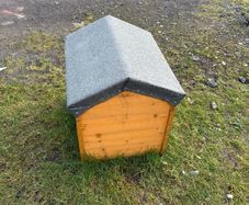 dog box