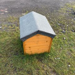 dog box