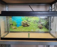 120L fish tank