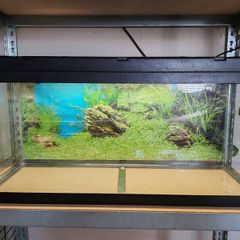 120L fish tank