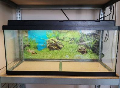 120L fish tank