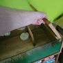 Tortoise / Reptile Start up Enclosure for Sale Image 4