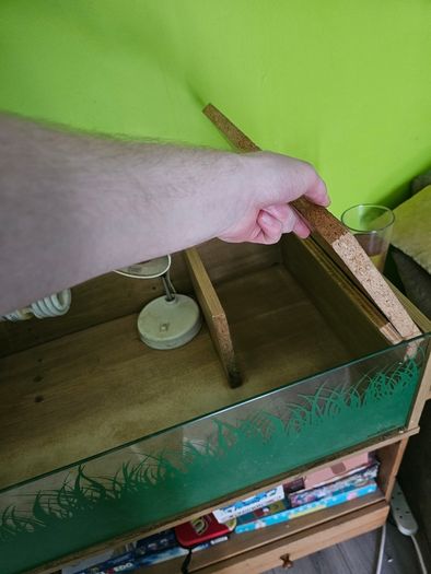 Tortoise / Reptile Start up Enclosure for Sale