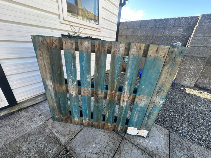Free Furnitures(Double sofa bed, 42 inch LG TV, IKEA coffee table, TV unit and wooden pallet)