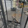 Large Parrot Cage Image 4