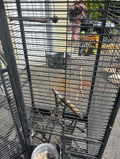 Large Parrot Cage