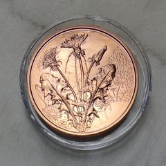 Austria 10 Euro Copper Uncirculated Coin 2022 - Dandelion - Languages of Flowers