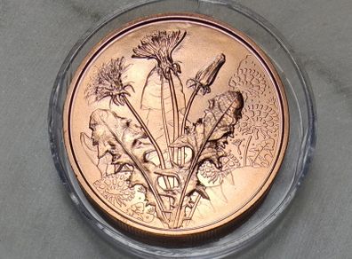 Austria 10 Euro Copper Uncirculated Coin 2022 - Dandelion - Languages of Flowers