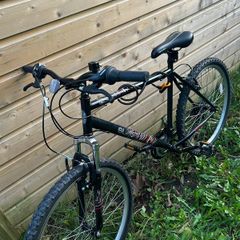 mans bike