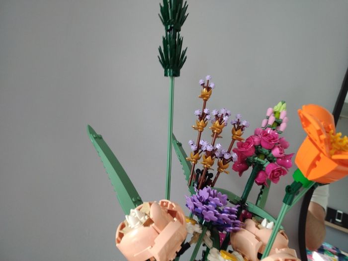 LEGO Botanicals Flower Sets