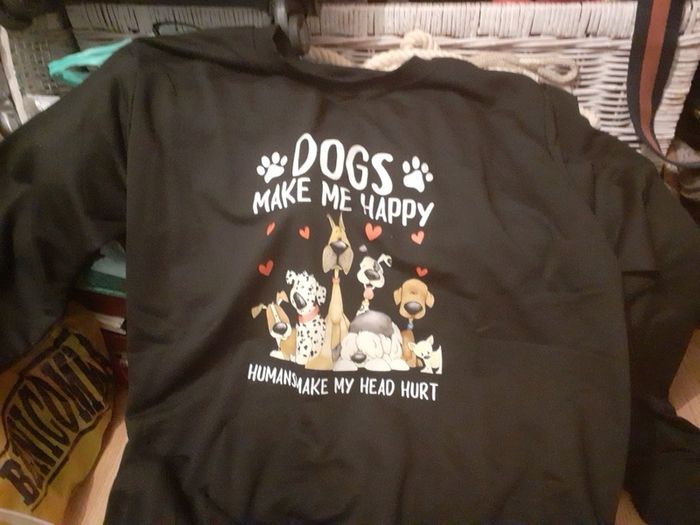 Ladies sweatshirt