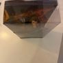 Barbie Collector Black Label The Hunger Games  Katniss Everdeen 2012 Release Image 2