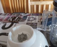smoothie maker and processor