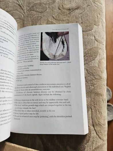 The Professional Handbook Of The Donkey. 4th Edition.  By Dr Elizabeth D. Svendsen. Edited By Professor James Duncan. In Good Condition.  See Photos For Same.